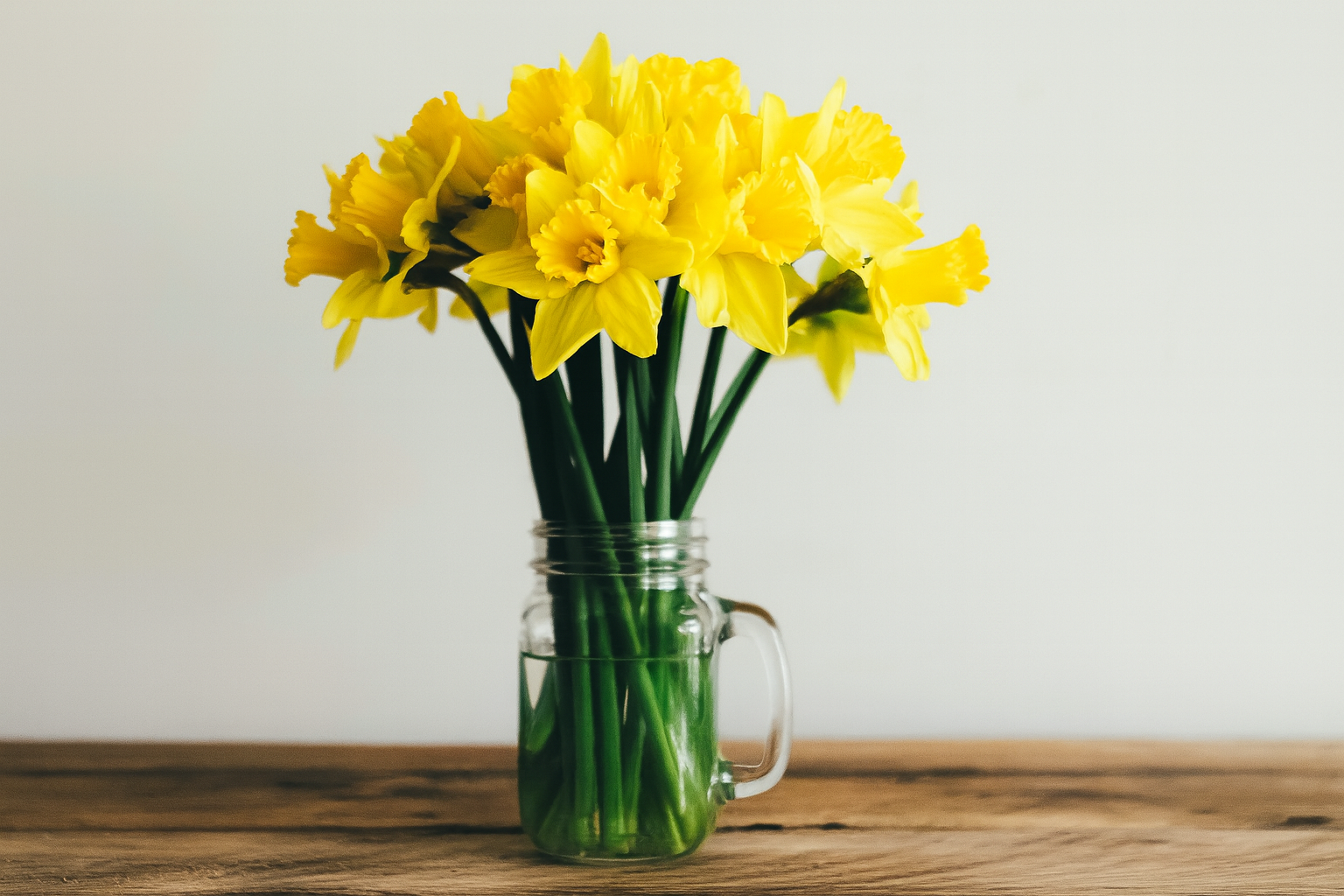 Mothering Sunday, 15 March Daffs 4:3